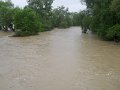 Povodne 203-2010   58